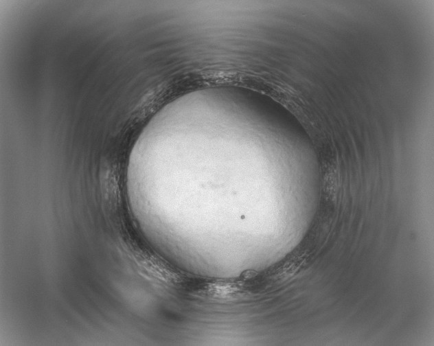 X0000060560662200511171607