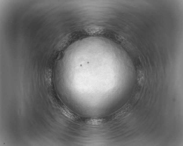 X0000060560664200511171607