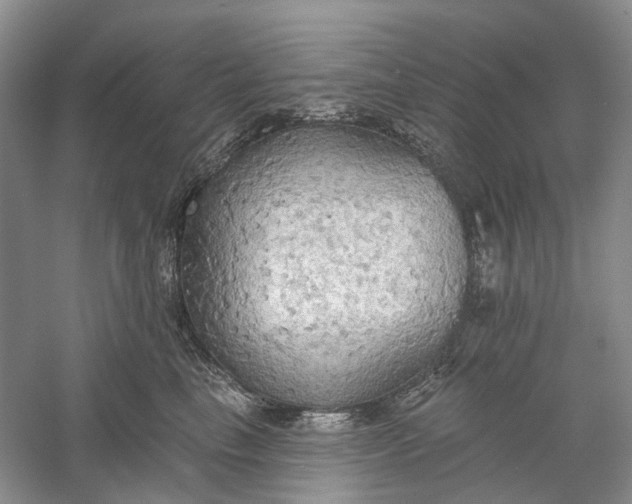 X0000060560665200511171607