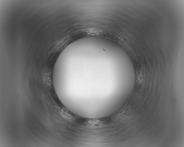 X0000060560666200511171607