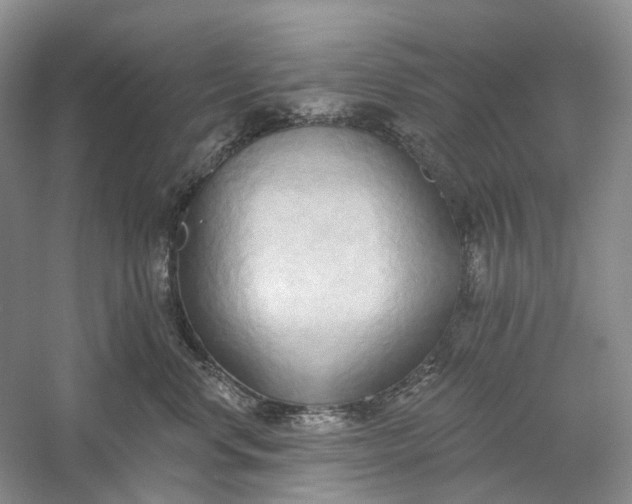 X0000060560668200511171607