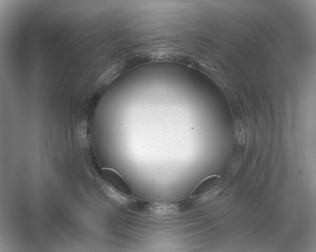 X0000060560670200511171607