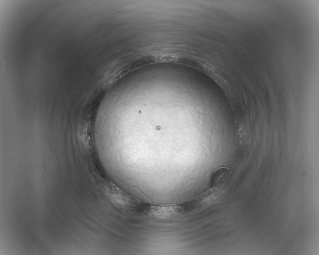 X0000060560671200511171607