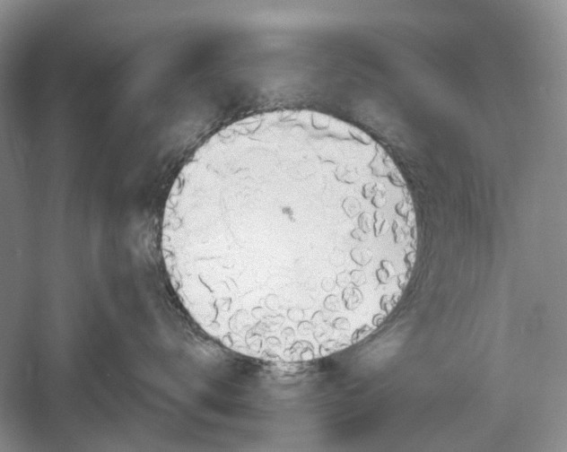 X0000060560672200511171607