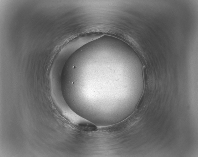 X0000060560673200511171606