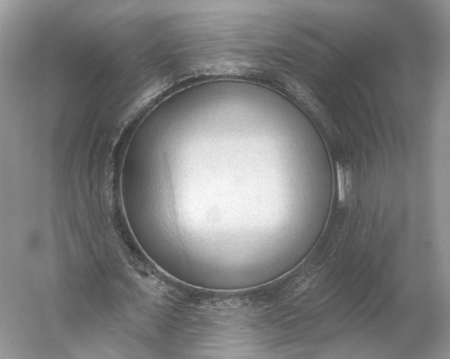 X0000060560675200511171606