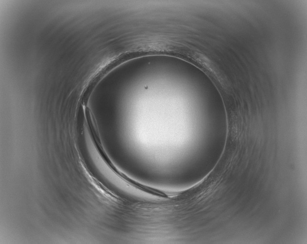 X0000060560677200511171606