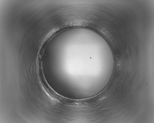 X0000060560678200511171606