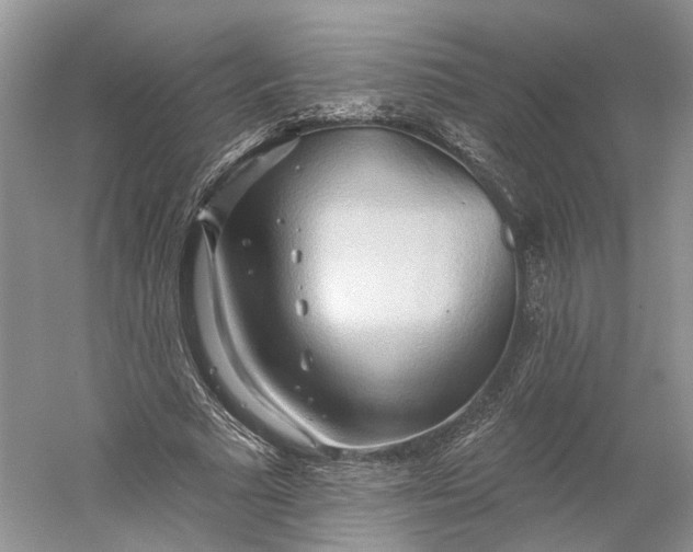 X0000060560681200511171606
