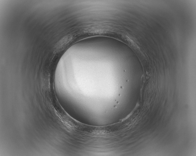 X0000060560685200511171606