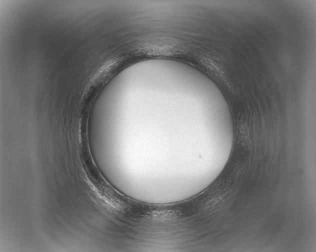 X0000060560686200511171606