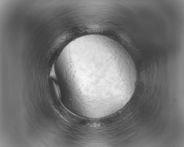 X0000060560687200511171606