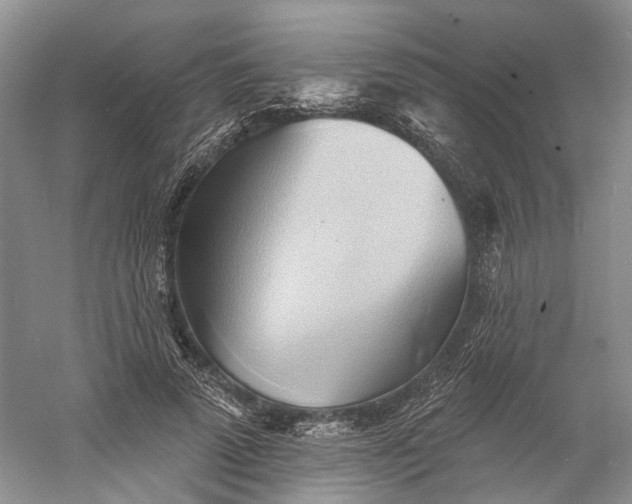 X0000060560689200511171606