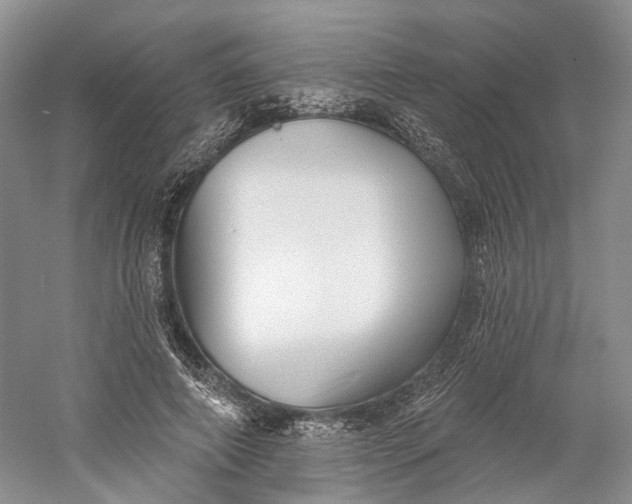 X0000060560690200511171606