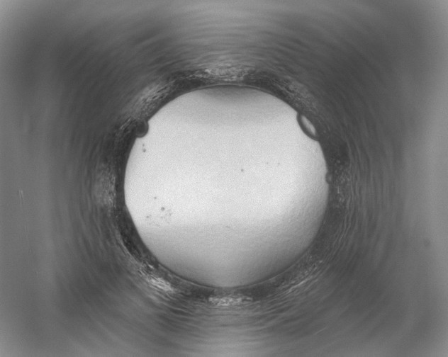 X0000060560693200511171606