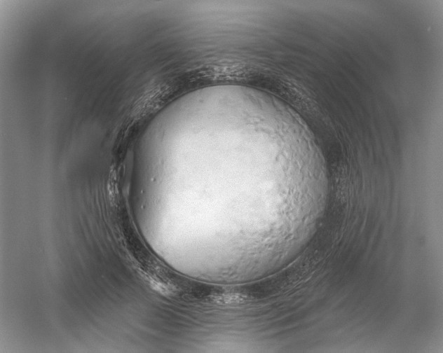 X0000060560695200511171606