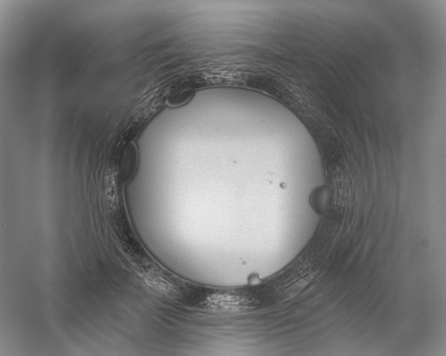 X0000060560699200511171605