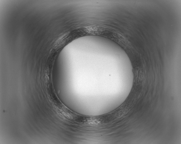 X0000060560702200511171605