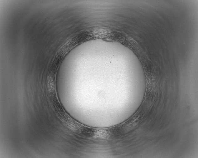 X0000060560705200511171605