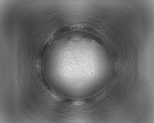 X0000060560708200511171605