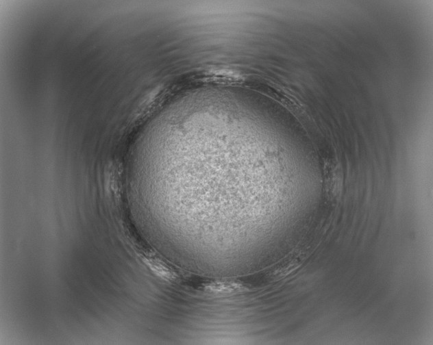 X0000060560712200511171605