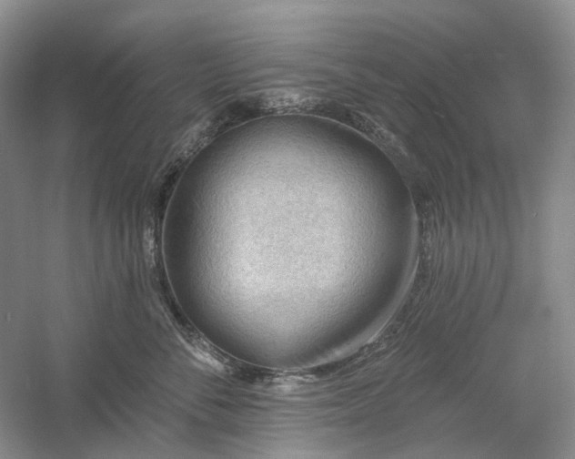 X0000060560716200511171605