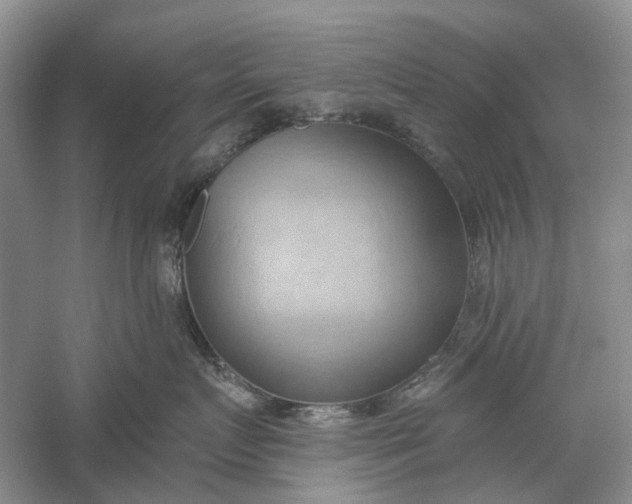 X0000060560719200511171605