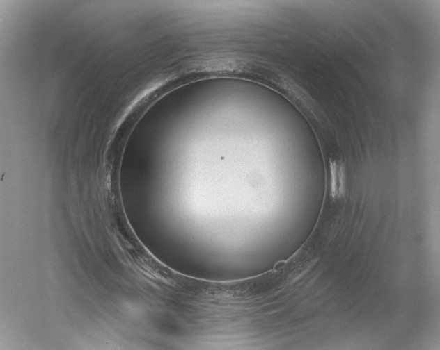 X0000060560723200511171604