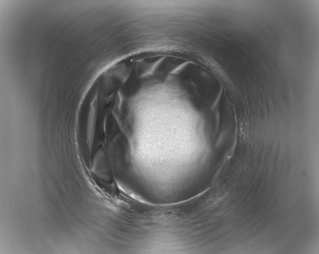 X0000060560724200511171604