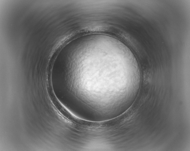 X0000060560725200511171604