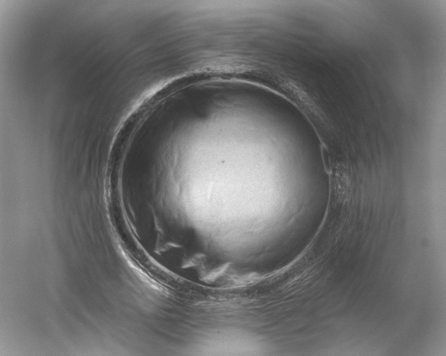 X0000060560726200511171604