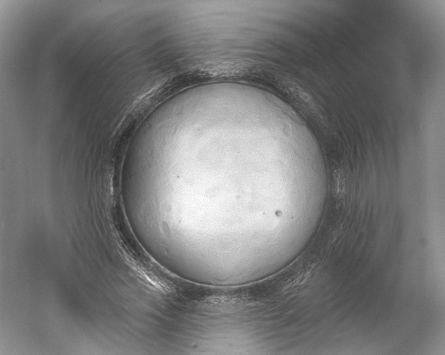 X0000060560733200511171604