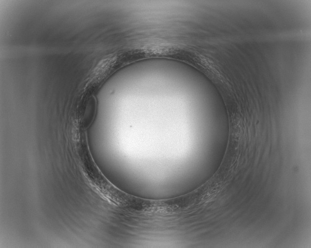 X0000060560738200511171605