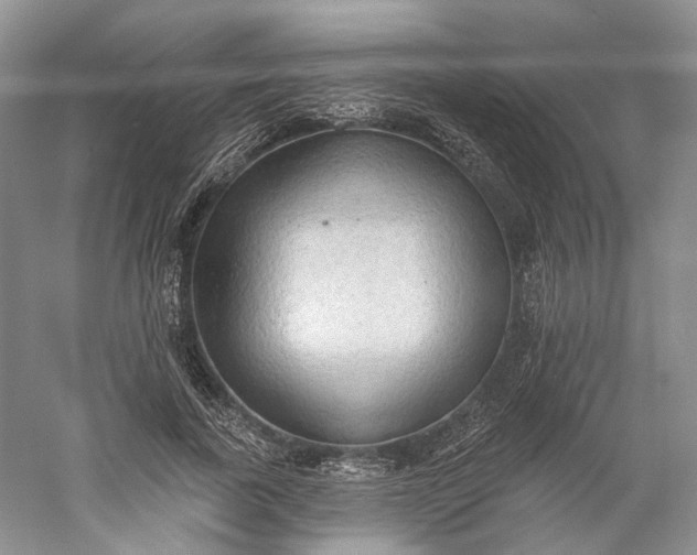 X0000060560739200511171605