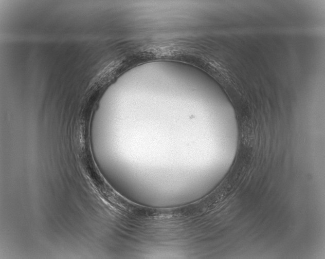 X0000060560740200511171605