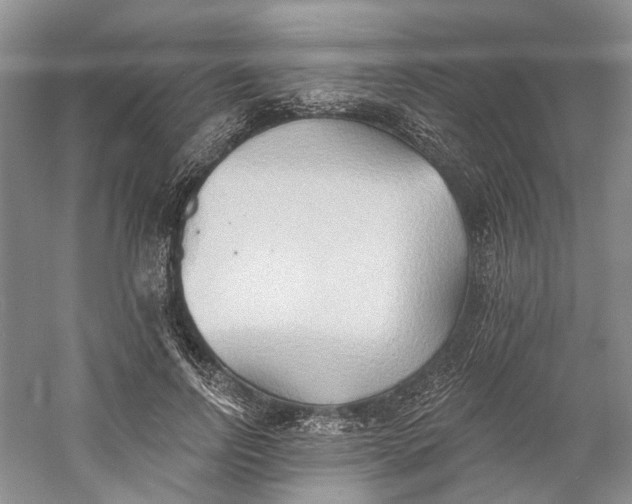 X0000060560742200511171605