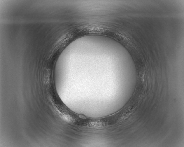 X0000060560744200511171605