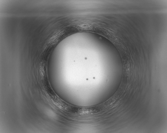 X0000060560746200511171605