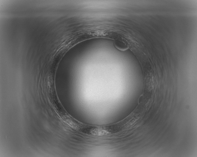 X0000060560747200511171605