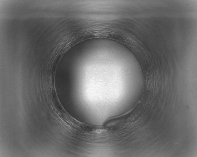 X0000060560748200511171605