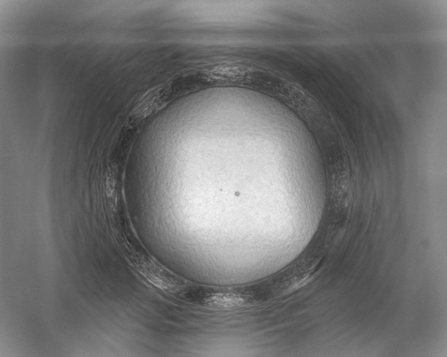 X0000060560749200511171605