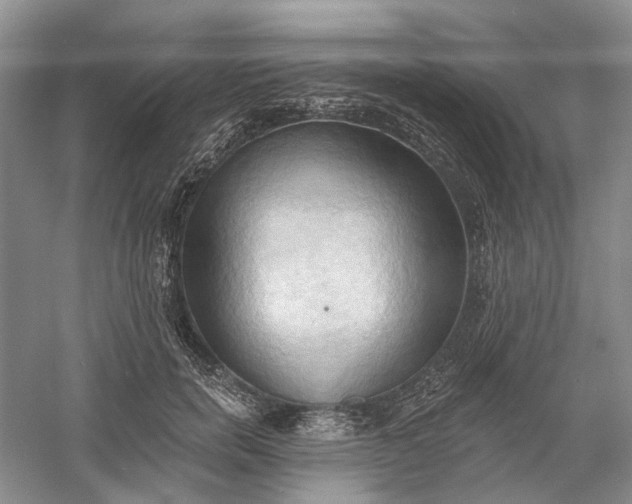 X0000060560750200511171605