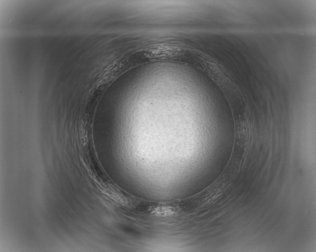 X0000060560751200511171605