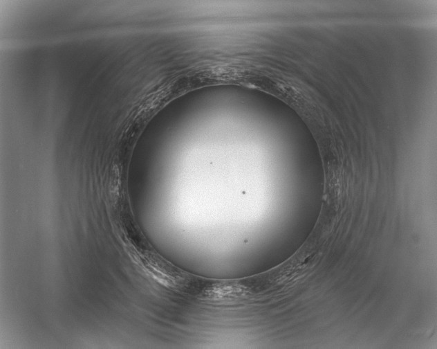 X0000060560752200511171605