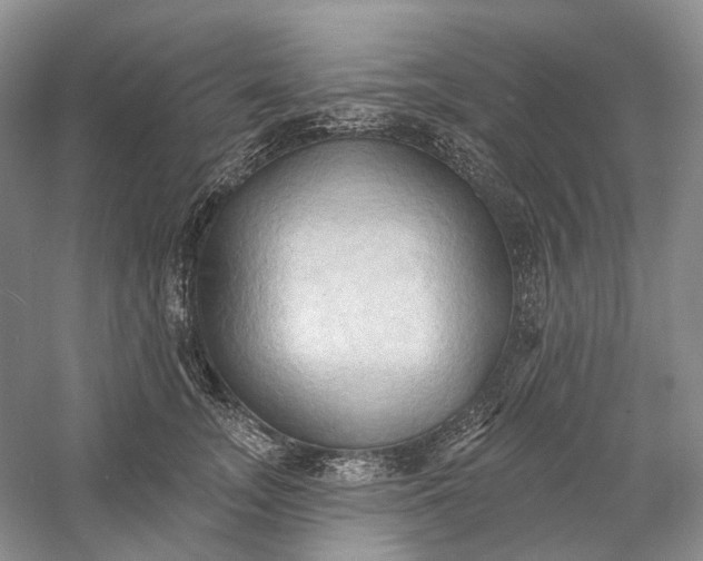 X0000060560755200511171605