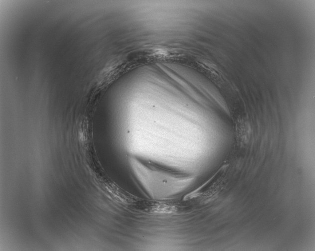 X0000060560760200511171605