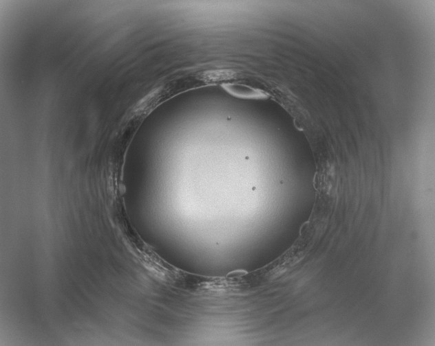 X0000060560763200511171605