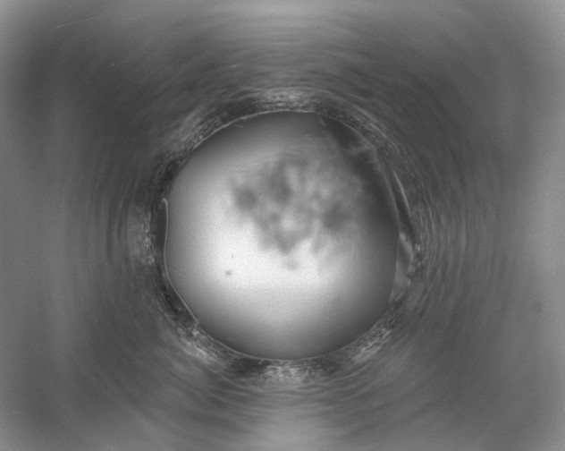 X0000060560764200511171605