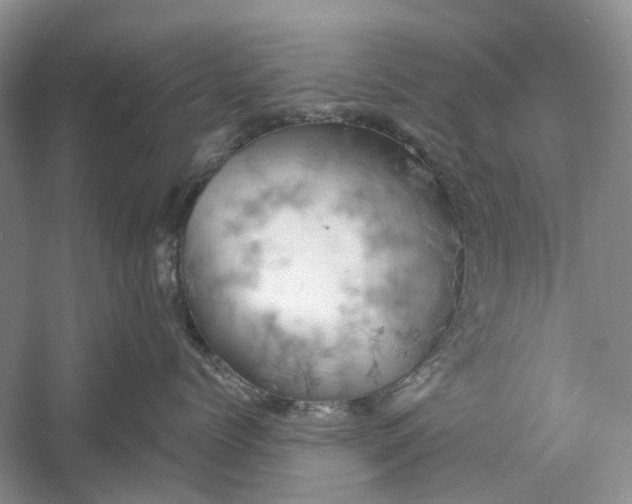 X0000060560768200511171605
