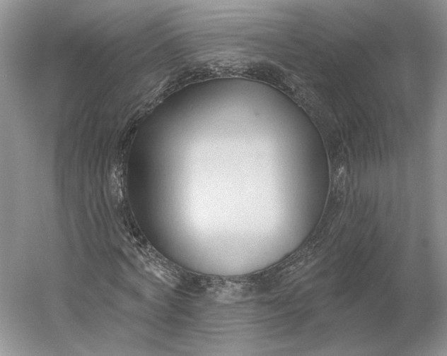 X0000060560772200511171604
